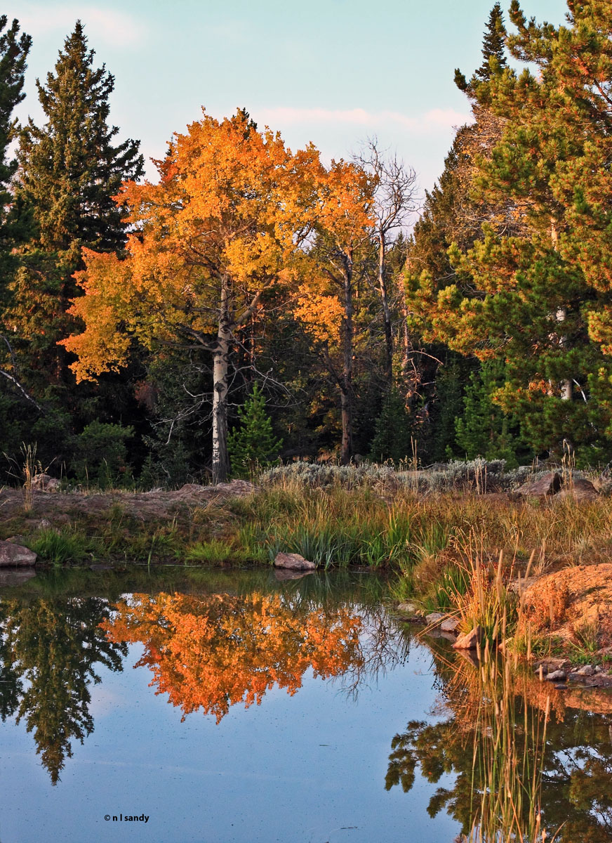 Reflected Glory