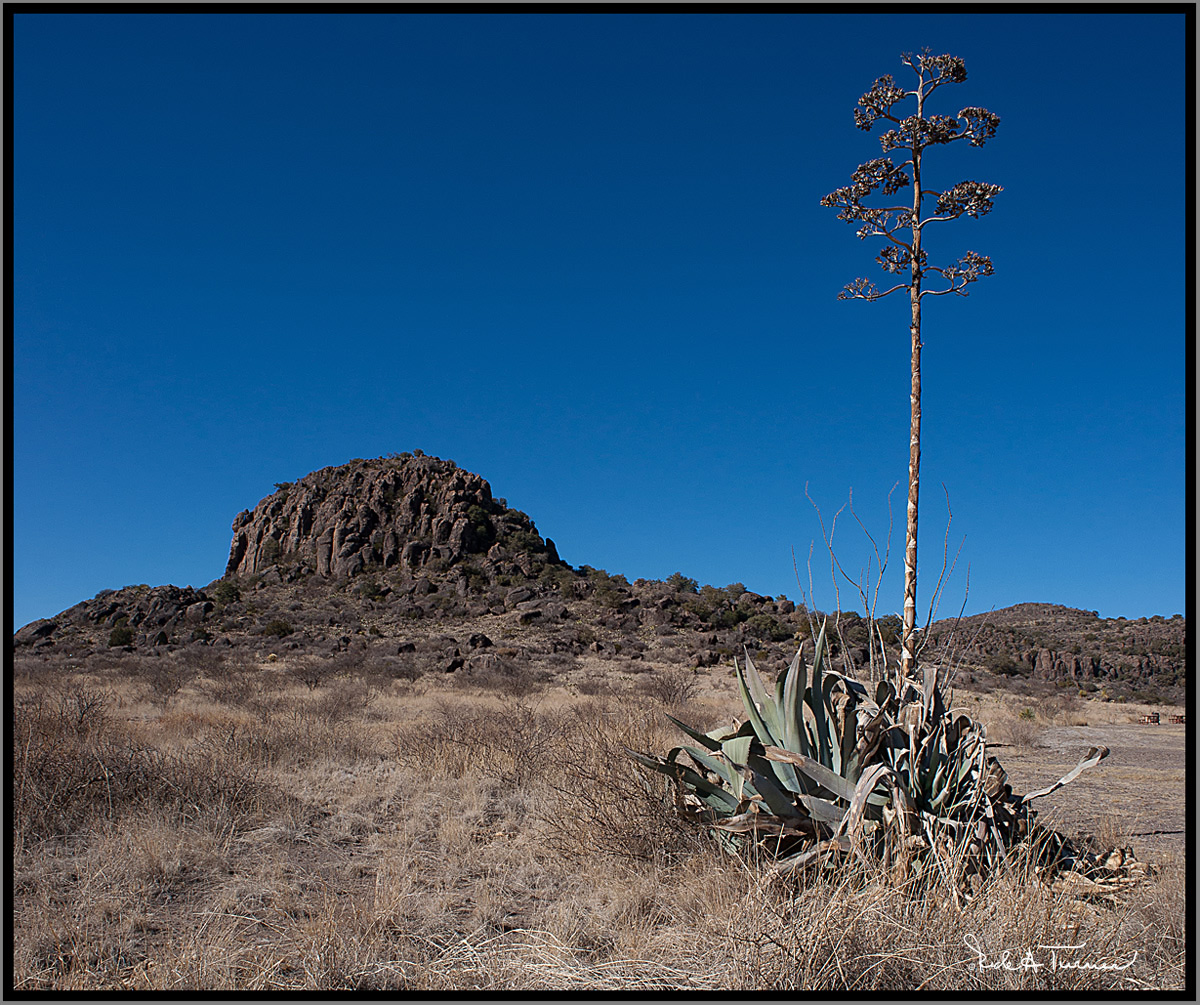 Fort Davis