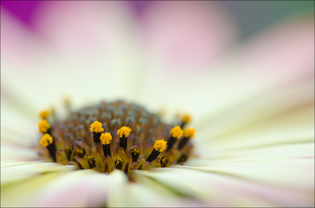 Radiating 2
