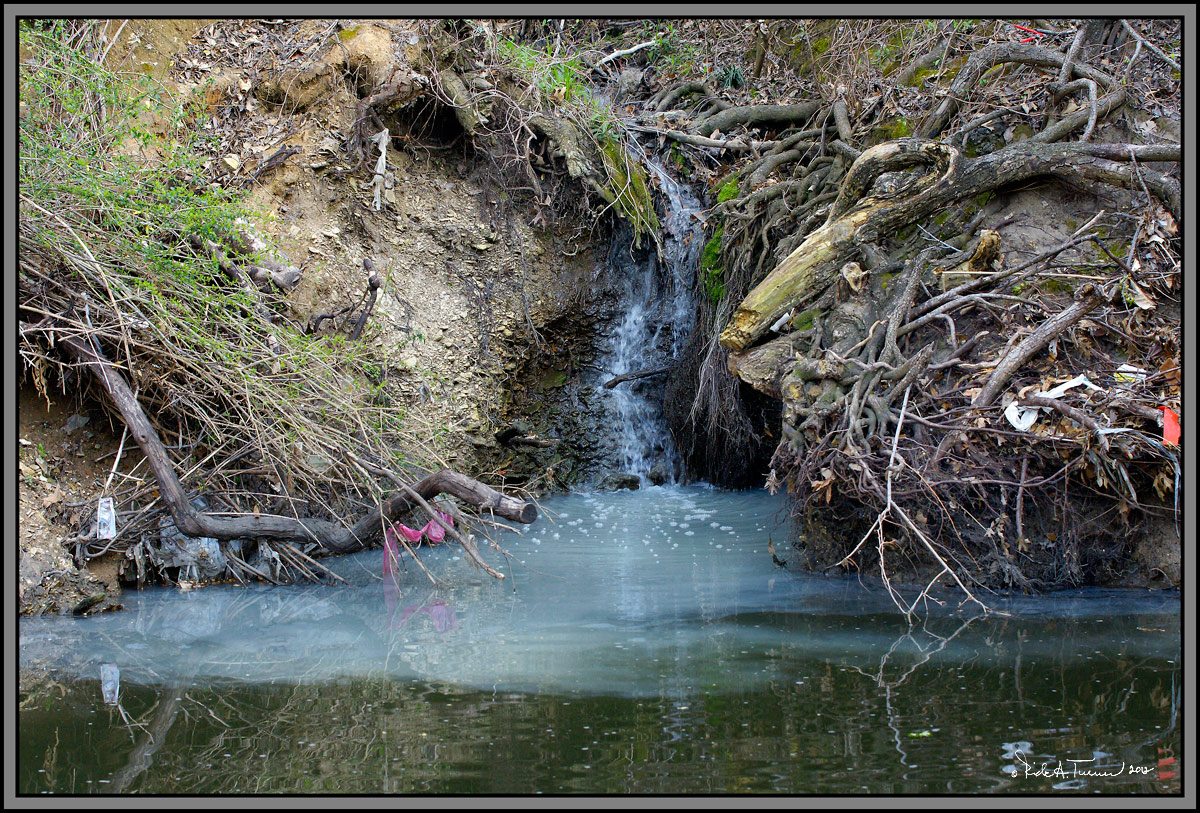 Turtle Creek polution