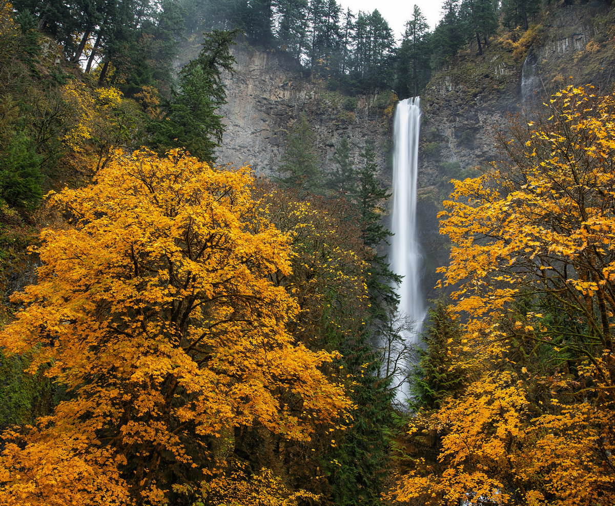 Multnomah Falls Fall #2