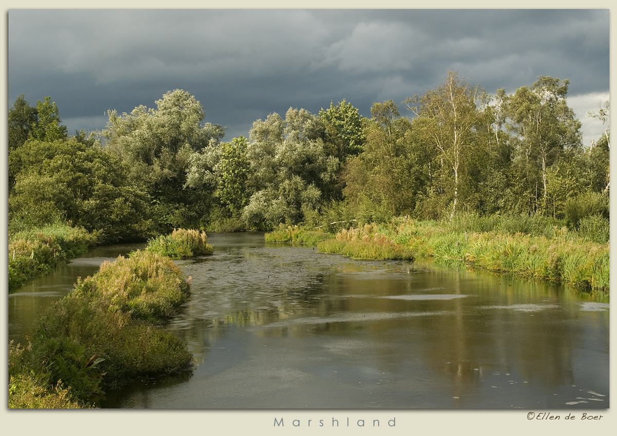 Marshland