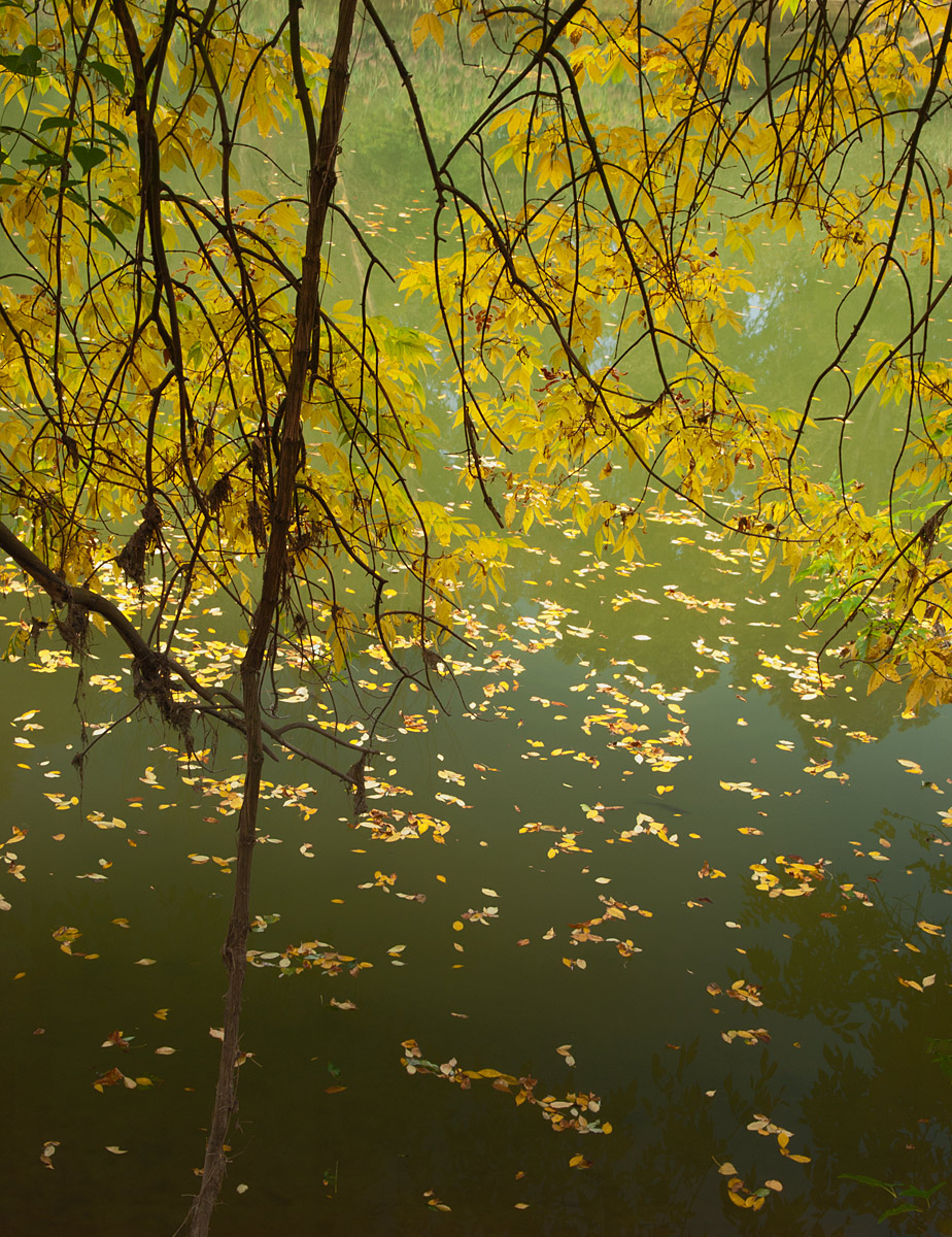 Autumn Poetry