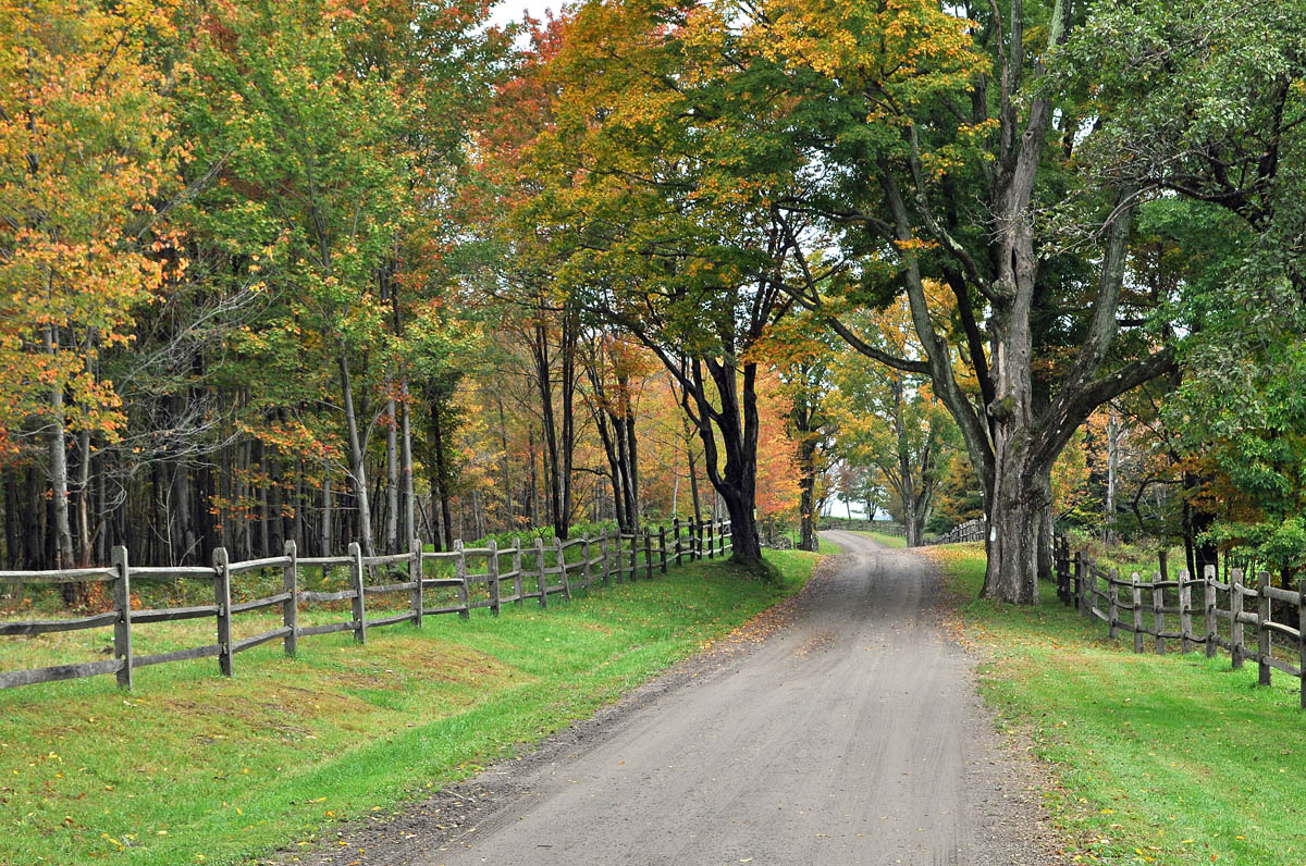 Riverdale Road