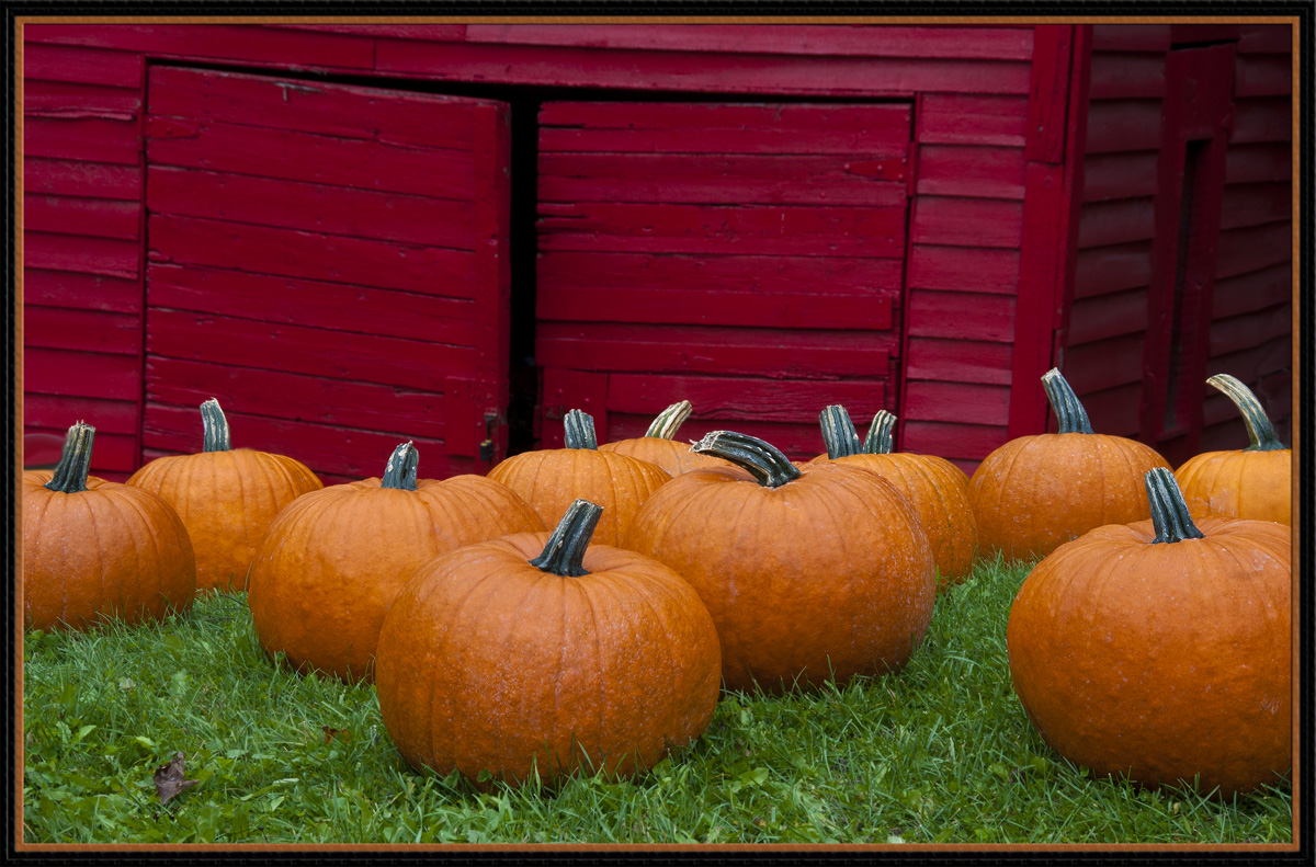 Ready for Carving