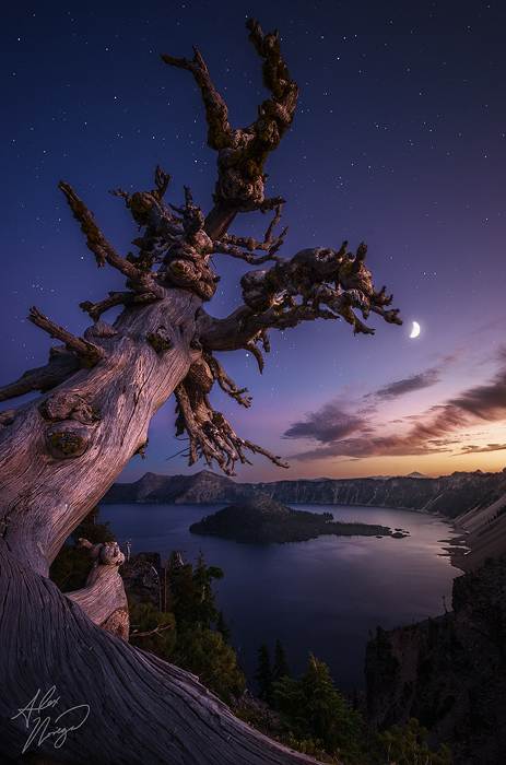 Night Sentinel