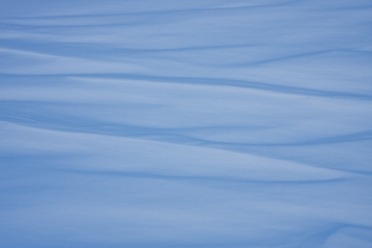 Snow Lines