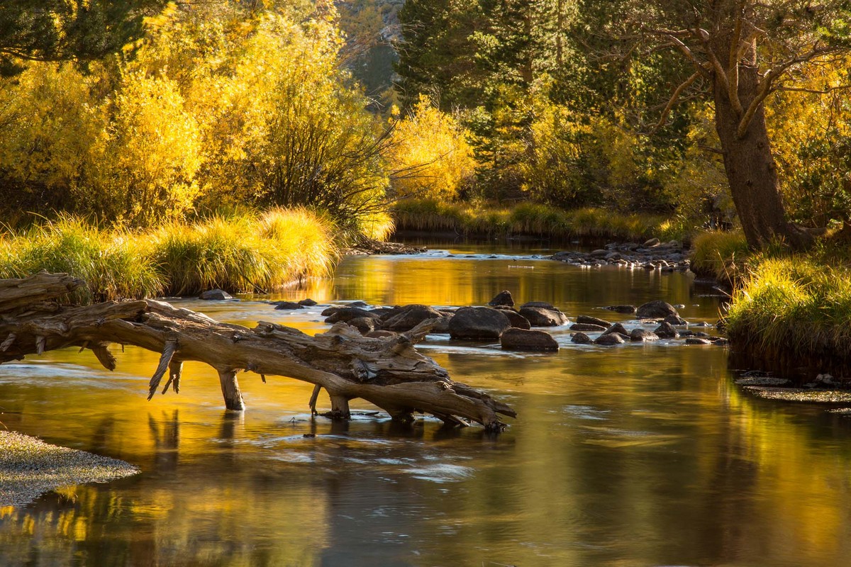 On Golden Stream