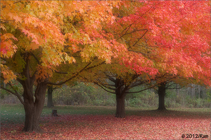 Its Autumn
