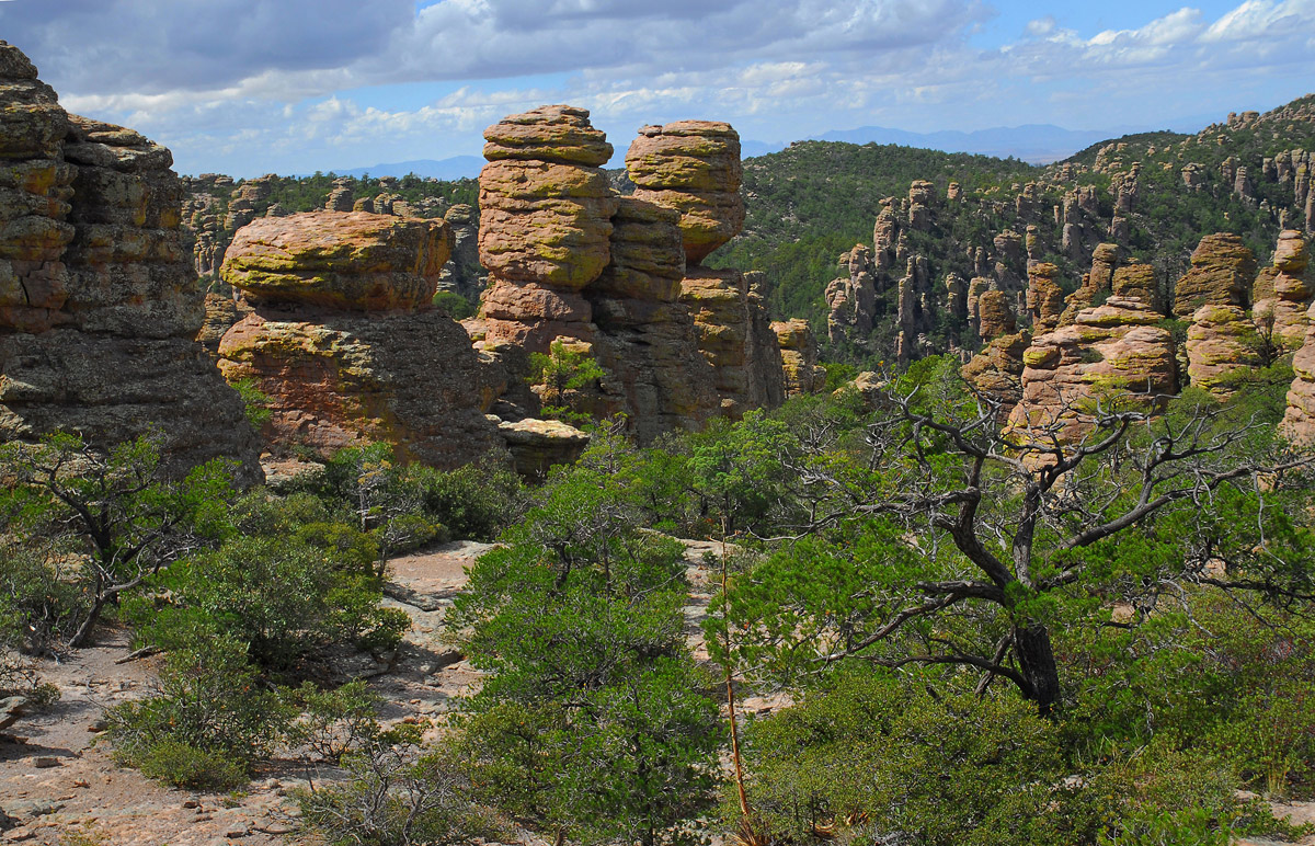The Chiricahuas