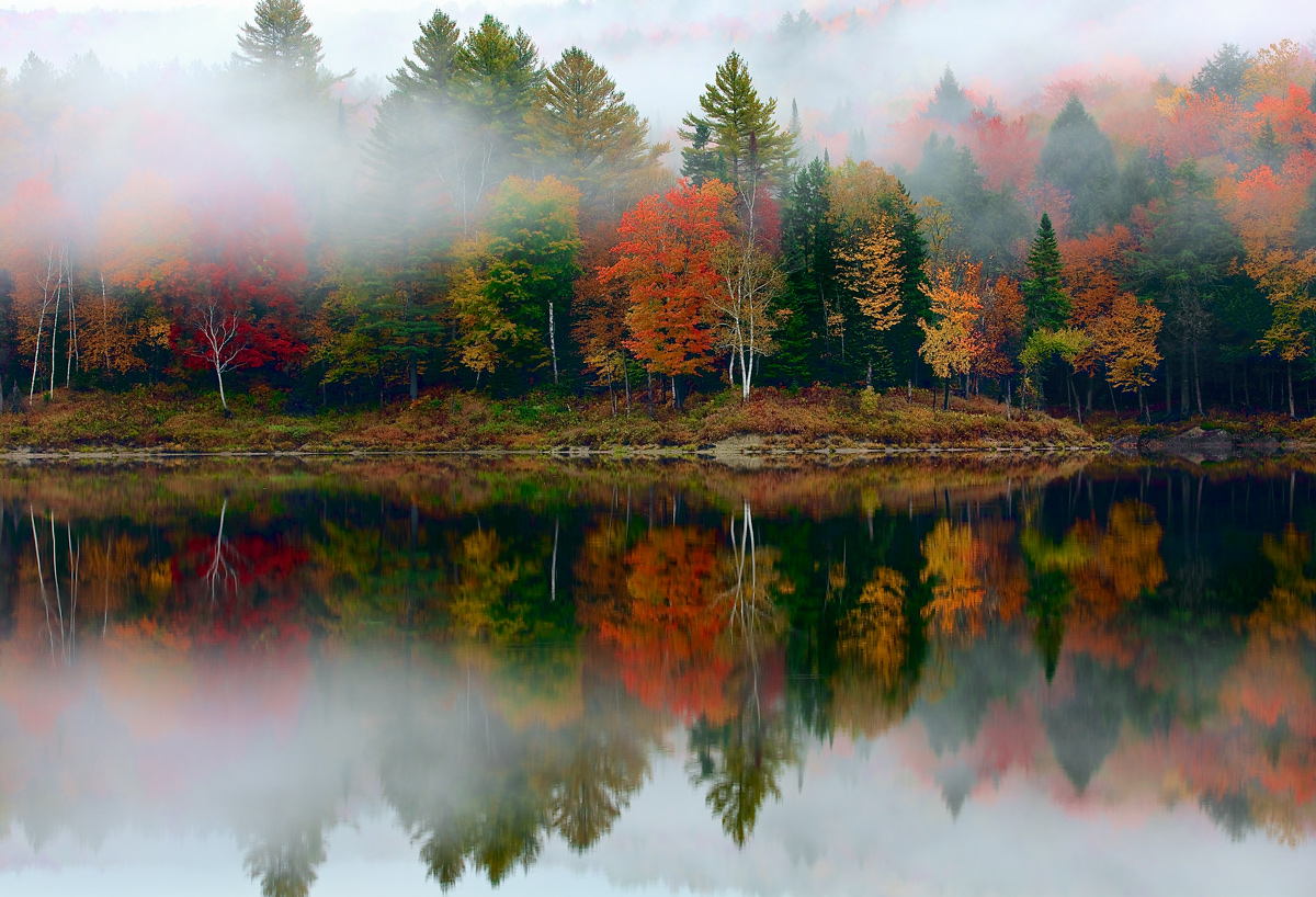 Fall Reflection