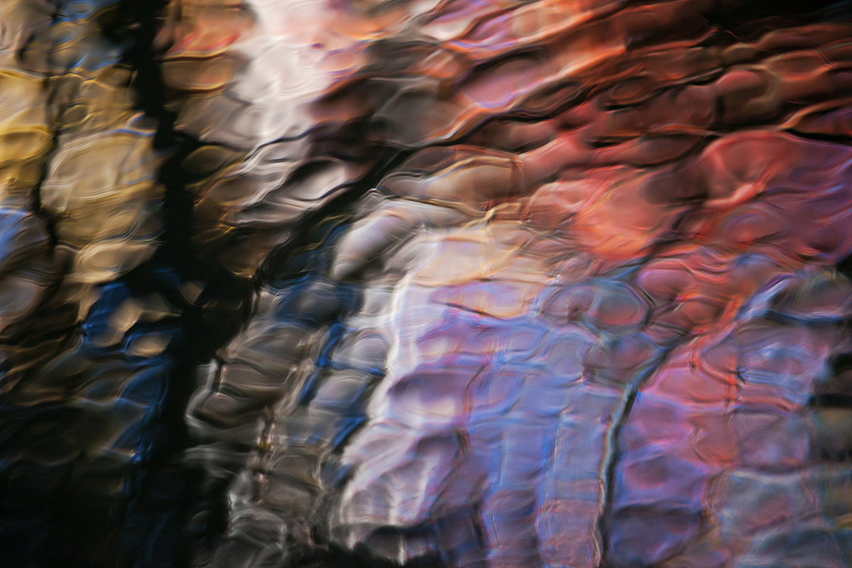 Autumn Abstract