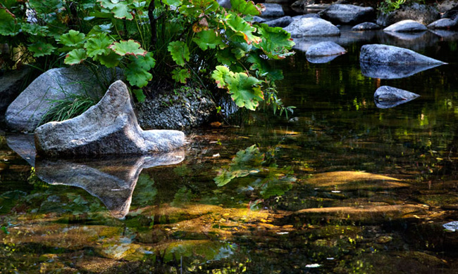 River Rocks