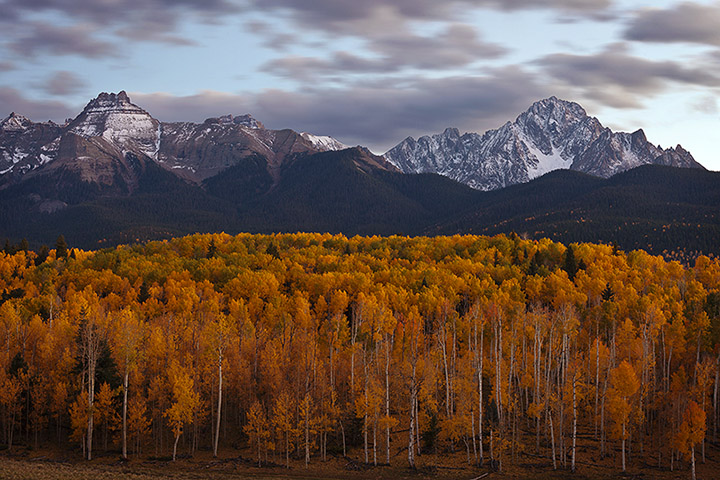Sneffels Fall