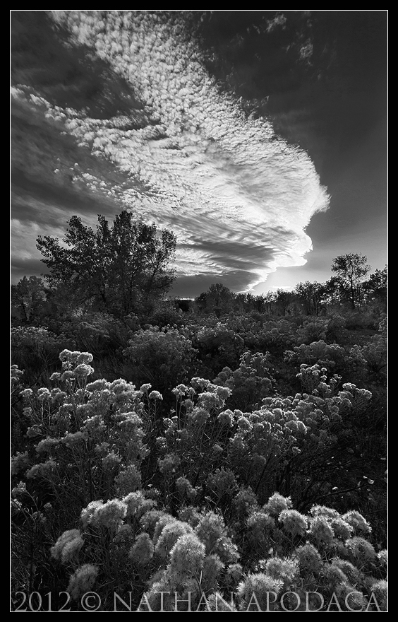 Colorado Sky