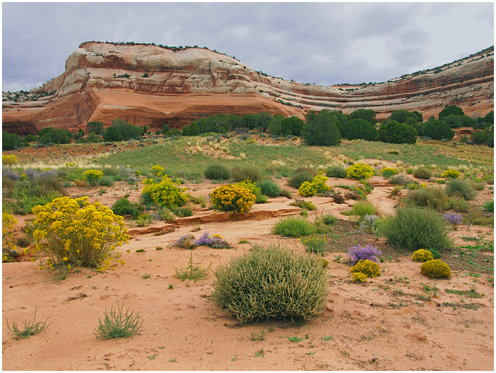 Desert Creek Ensemble