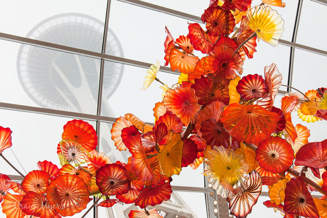 View from a Glass Garden