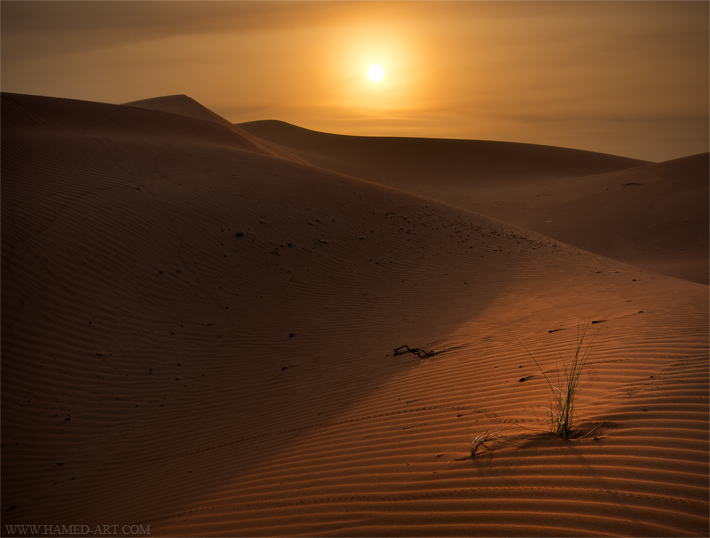 Sun Disk