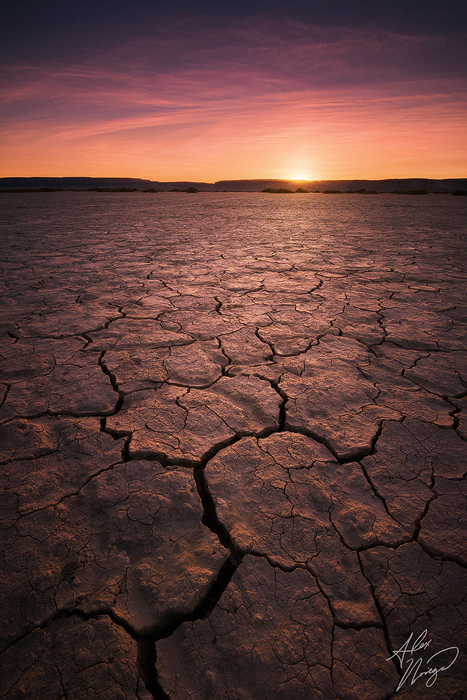 Desiccated Lightning