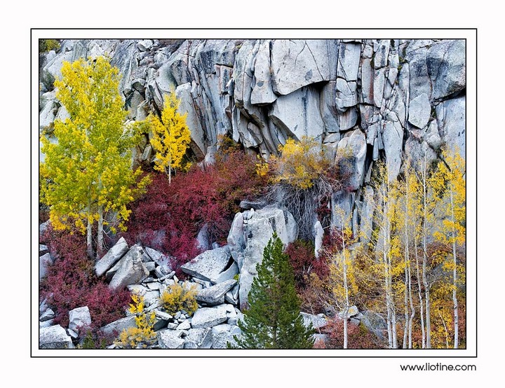 Fall Palette in Granite