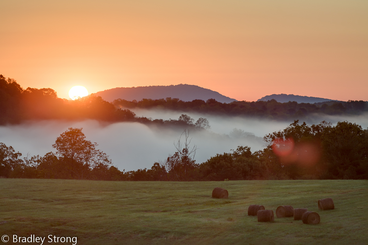 River Fog Sunrise