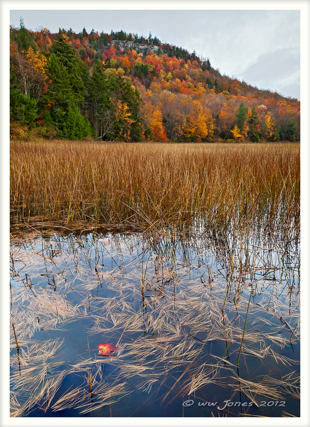Fall on the Lakehore