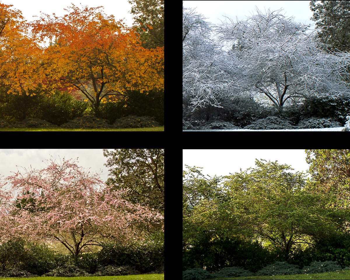 Time Passages