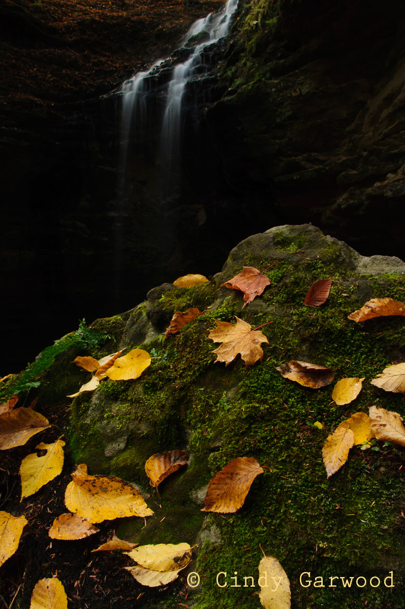 Tannery Falls