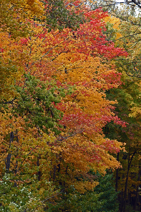Color mix  WC 556+repost
