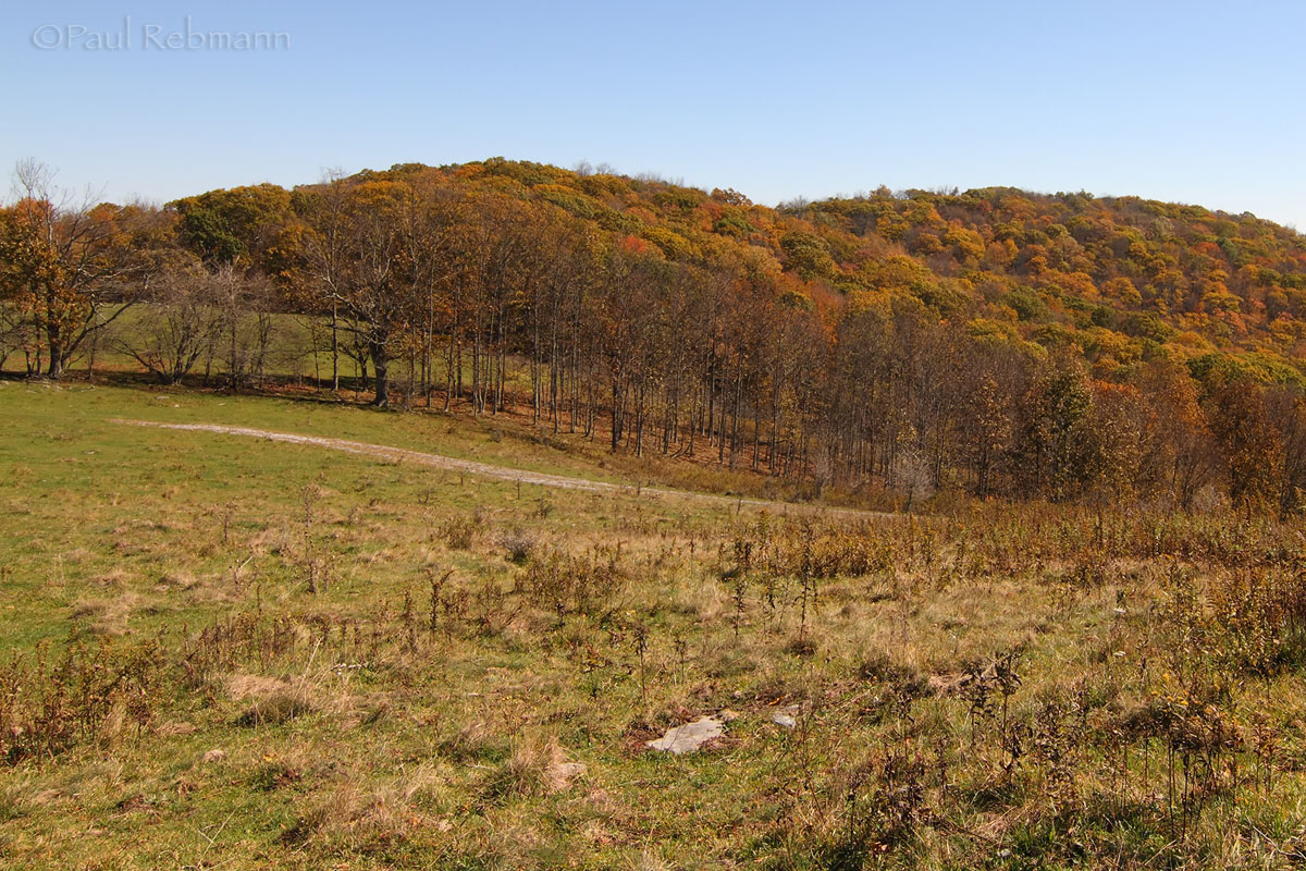 Autumn Passing