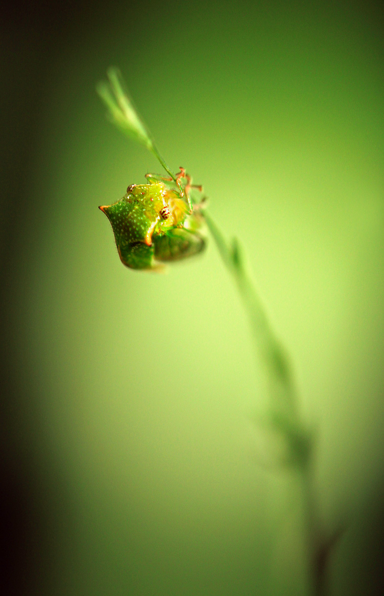 Hangin' on