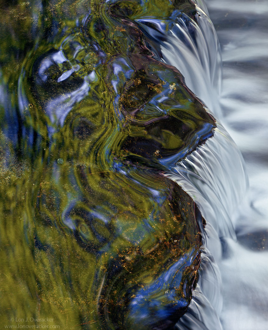 Fern Spring