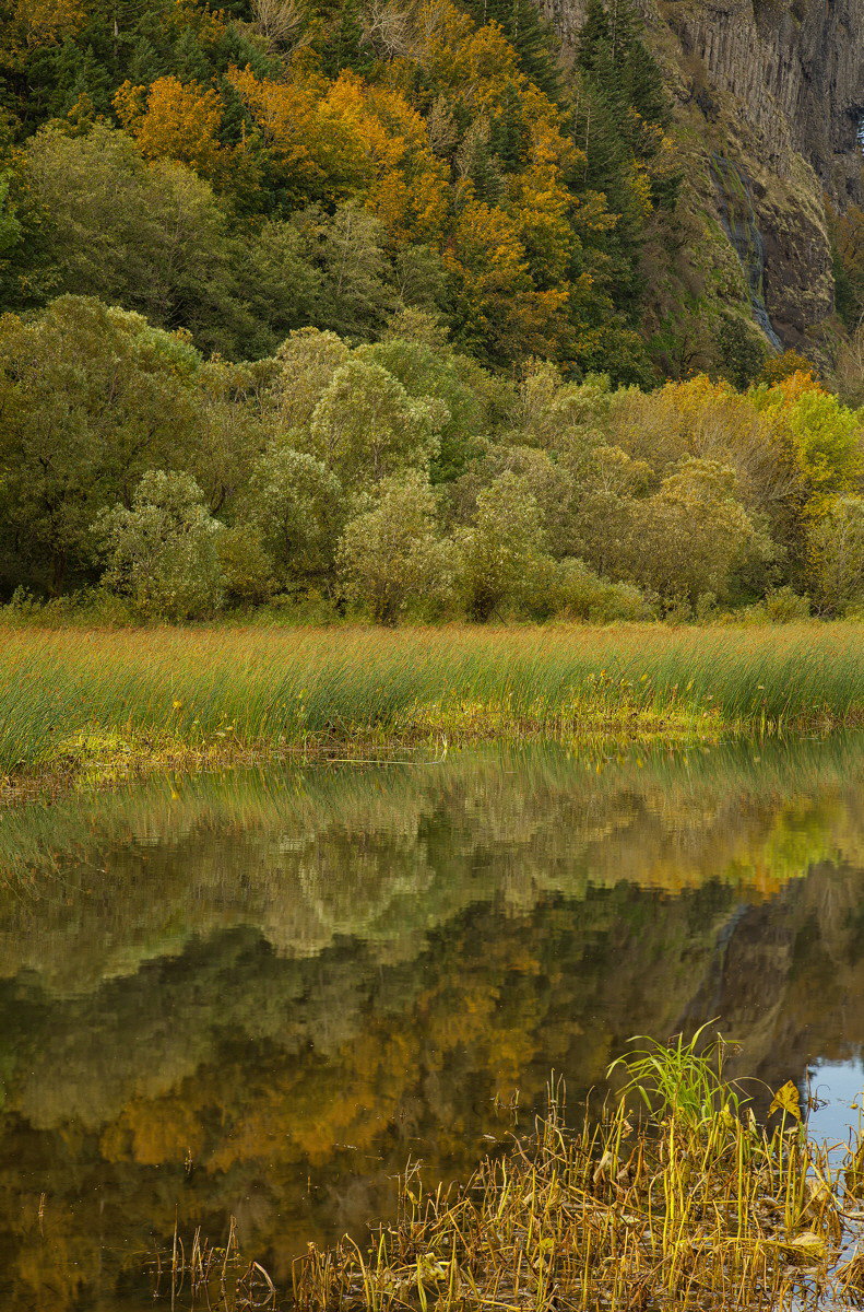 Mirror Pond