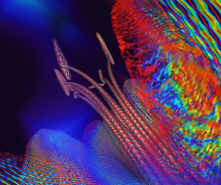 Rainbow Lily