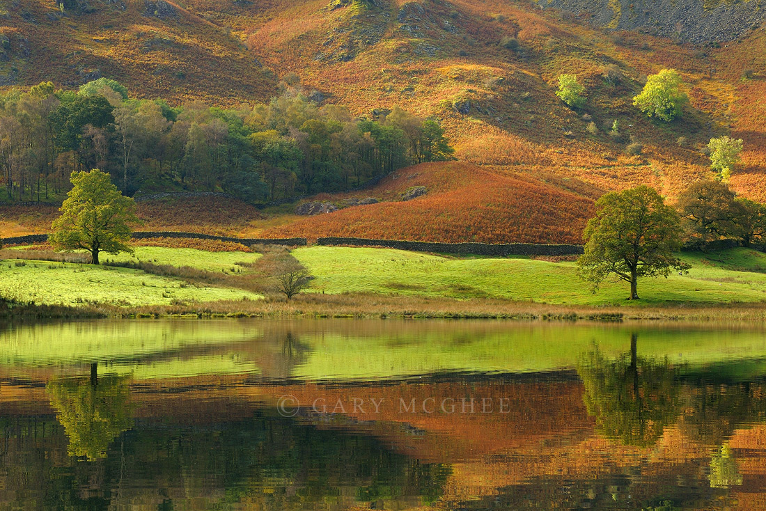 Rydal Reflections