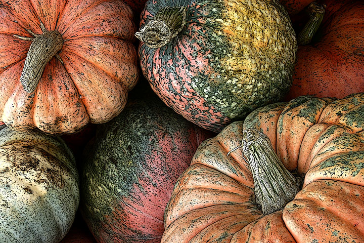 Pumpkins, CA