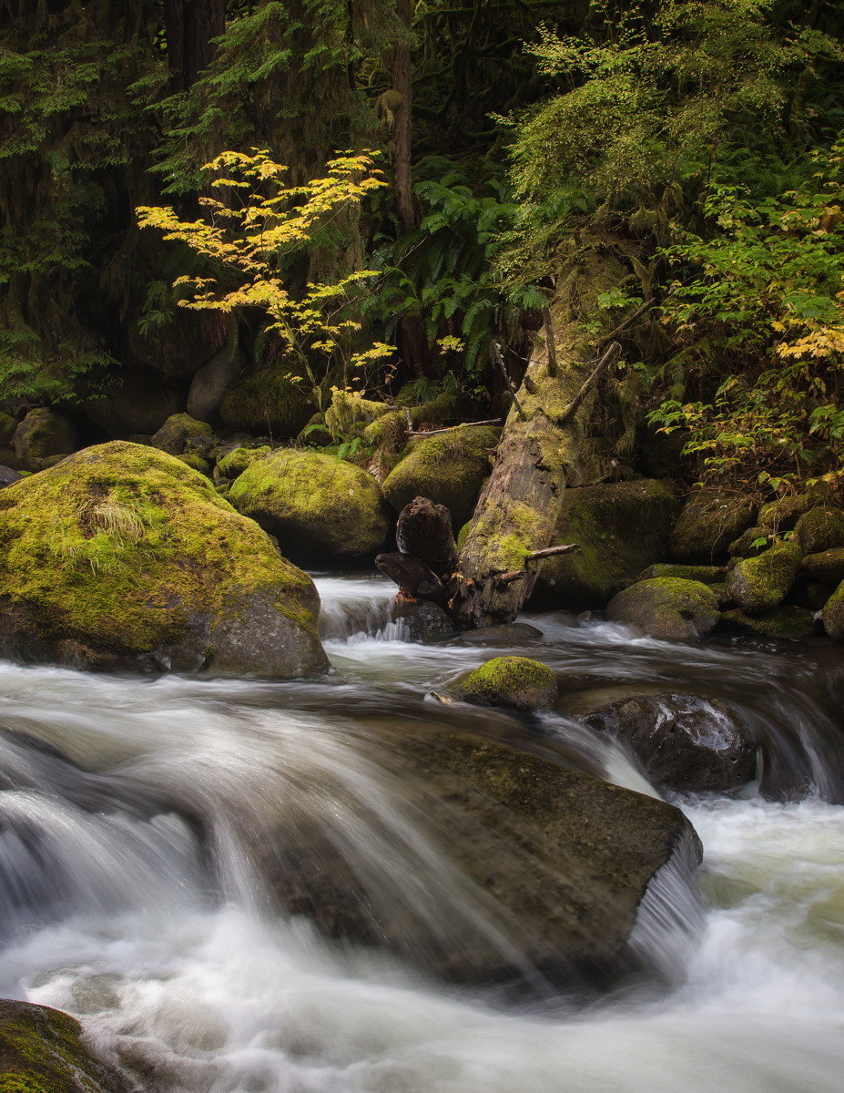Oneonta Creek