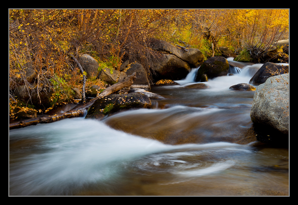 Down by the Stream