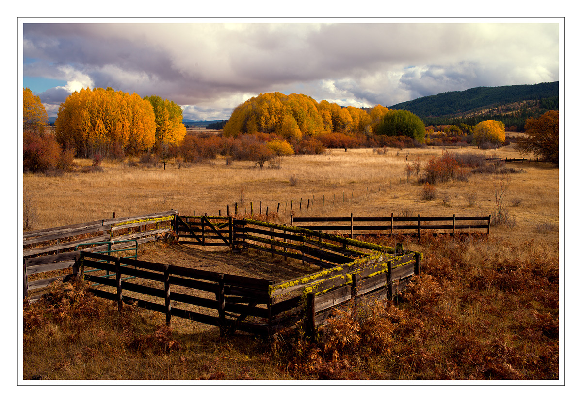 Fall Photo PNW 