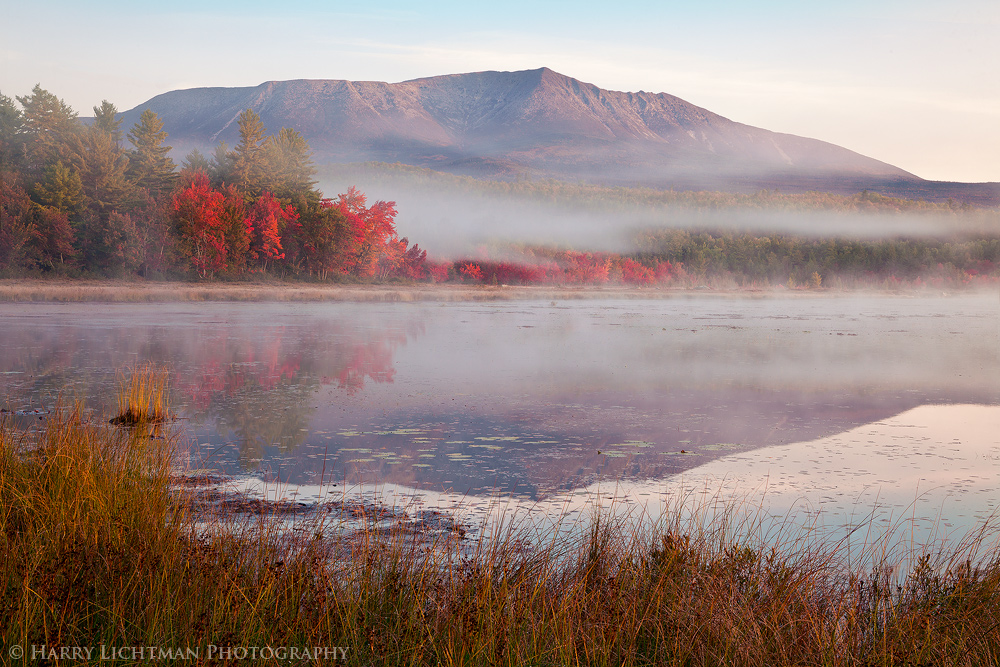 Autumn Kingdom