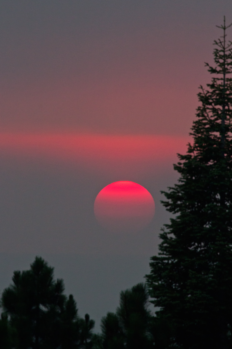 Red Sun