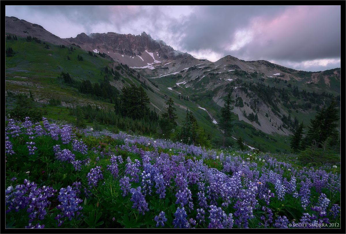 Cispus Basin Sunset