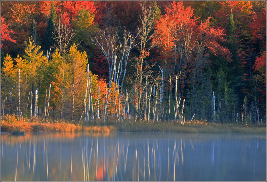 Early Light + repost