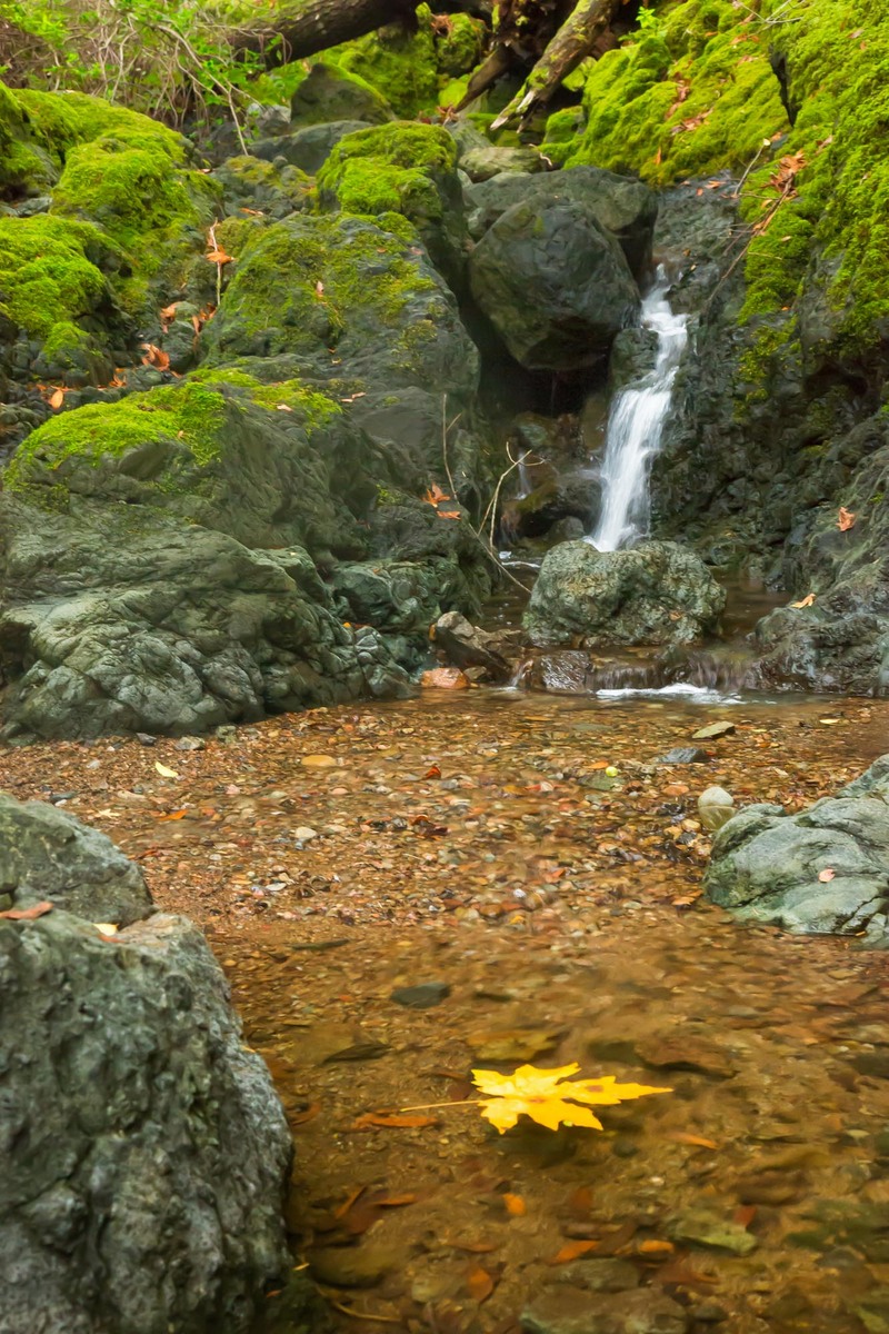 Cataract creek