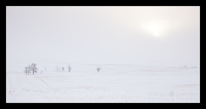 Ice Fog on Prairie