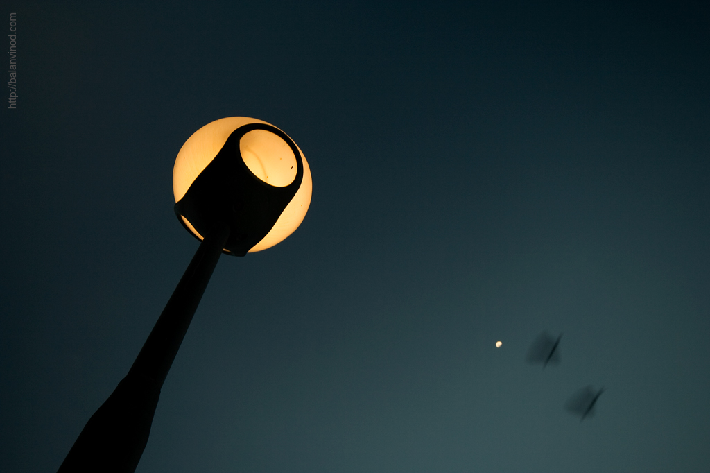 Night Fall