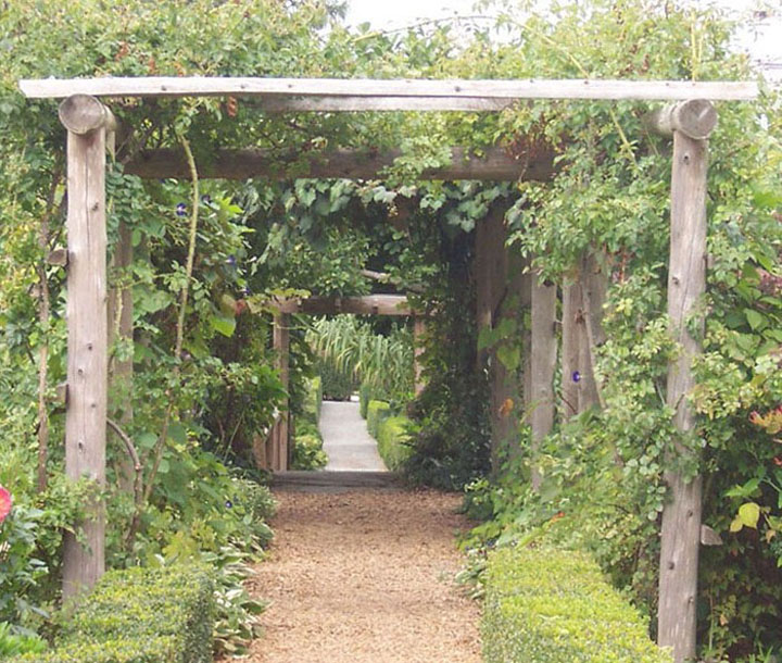 arbor
