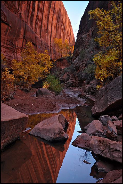 Canyon Journeys