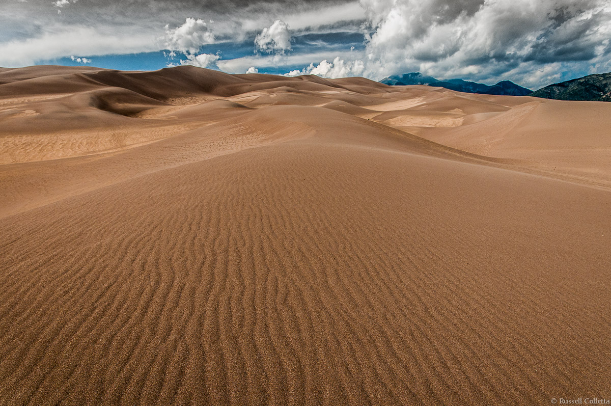 In the dunes