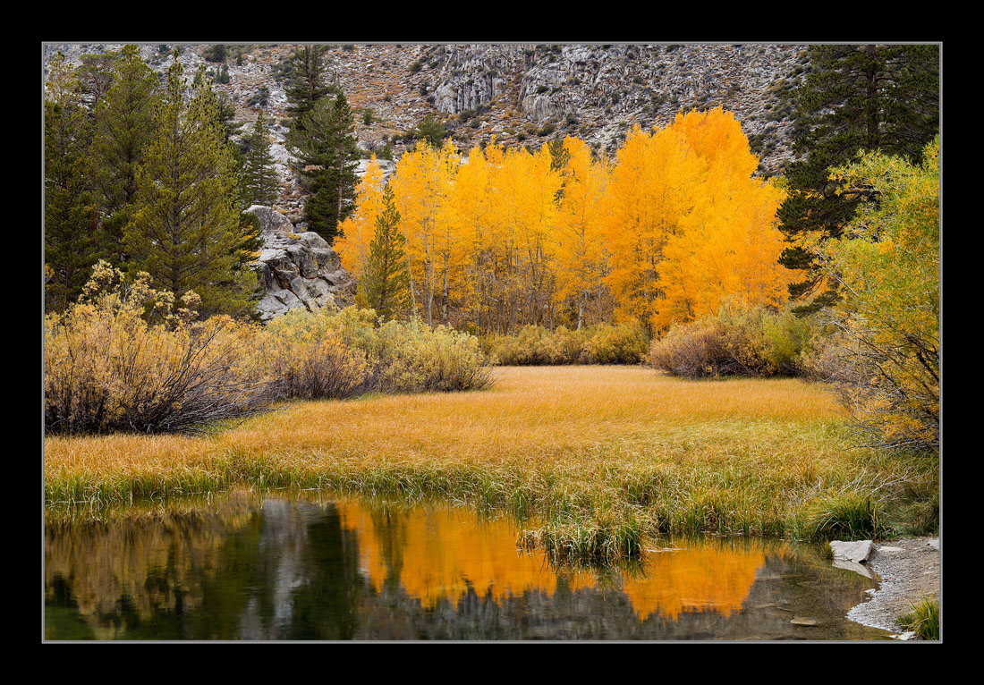 High Country Color